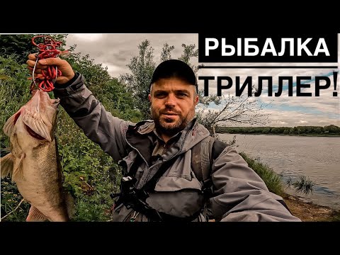 Видео: НЕОЖИДАННЫЙ ИСХОД рыбалки. Спиннинг на Оке с берега. Рыбалка в Подмосковье.