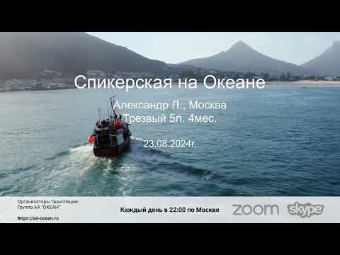 Видео: 23.08.24г. Александр Л., трезвый 5л. 4мес. Тема: "От начала и до конца 12 шагов". Дом.гр.АА "Радио".