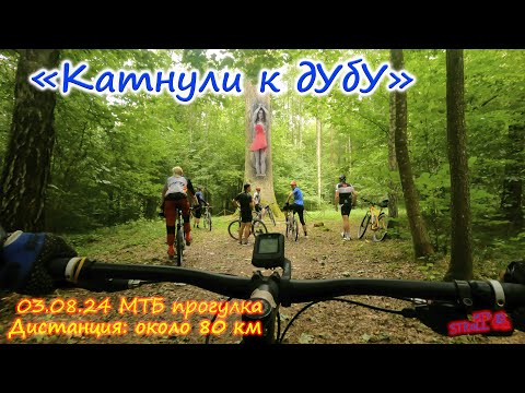 Видео: "Катнули к дубу" (МТБ прогулка, велопокатушка)