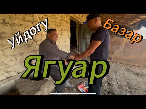 Видео: Ат базар Кубаныч акенин Аты #kyrgyzstan #horse #атбазар #rek