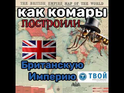 Видео: Как комары построили Британскую Империю