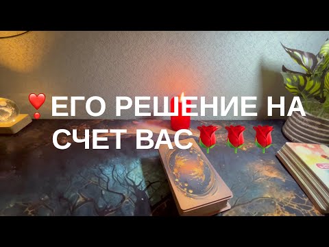 Видео: 3 ноября 2025 г.