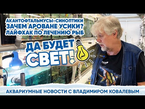 Видео: 💡 Аквариумные новости с Владимиром Ковалевым (23.12.2023). Да будет свет!