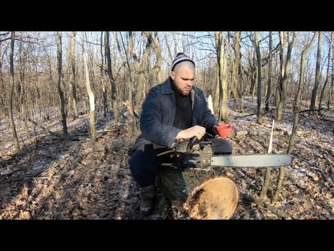 Видео: ЛЕС ВЫГОНЯЛ МЕНЯ КАК МОГ!!! ЗАГОТОВКА ВАЛЕЖНИКА ЗИМОЙ 2025!