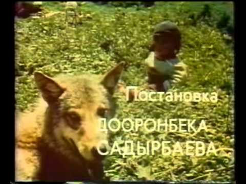 Видео: Акбаранын көз-жашы!!!(Кыргыз фильм)