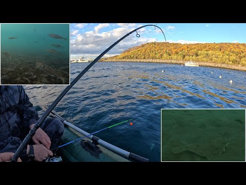 Видео: Вышли на морской залив половить осенней рыбки / We went out to catch some autumn fish