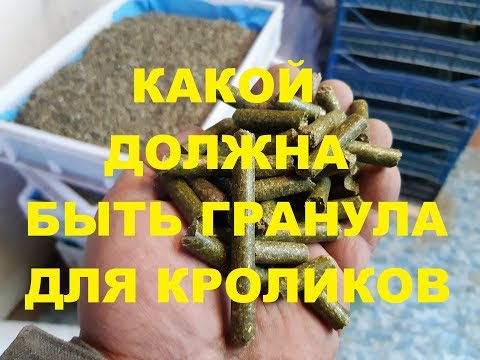 Видео: Какой все-таки должна быть гранула для кроликов?