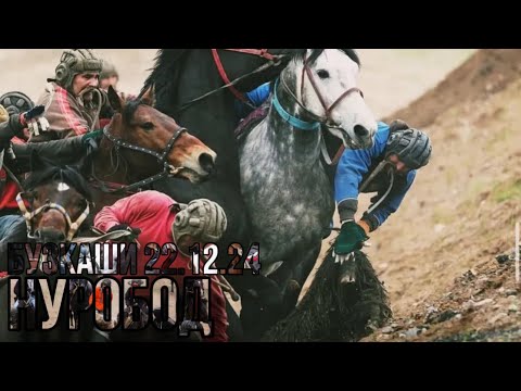 Видео: БУЗКАШИ НУРОБОД  22.12.2024 ( КИСМИ 1)