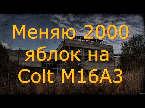 Видео: 🌟Яблоки на Colt M16A3🌟Сталкер онлайн🌟stayout 👍