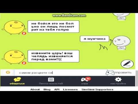 Видео: SimSimi. Это просто писец