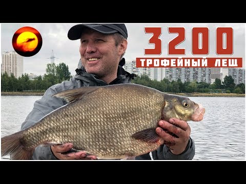 Видео: Трофейный лещ / Фидер на Москва реке / Рыбалка в июле / Братеевские Лещи