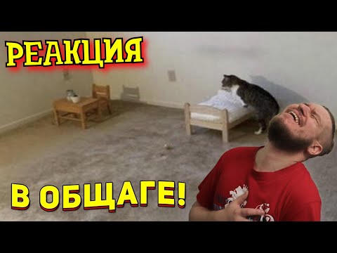 Видео: ЗАСМЕЯЛСЯ - ПОДПИСАЛСЯ!! ЛУЧШИЕ ПРИКОЛЫ 2021 ТЕСТ НА ПСИХИКУ УГАР! #415 - РЕАКЦИЯ НА СОЮЗ СМЕХА