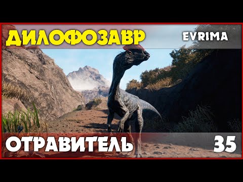 Видео: Дилофозавр - лучшее отравление в игре? [The Isle Evrima] #35