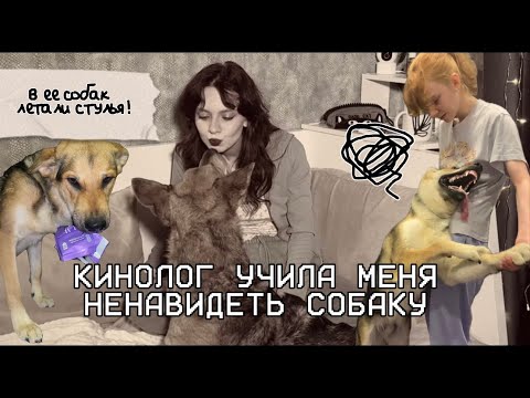 Видео: СТАРАЯ ШКОЛА КИНОЛОГИИ: доминирование, жестокость и «наджарянщина»