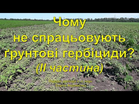 Видео: Чому не спрацьовують ґрунтові гербіциди? (ІІ частина)
