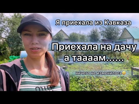 Видео: Дачный влог возвращается. Я приехала на дачу, а тааааам...... Ничего не изменилось😆