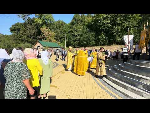 Видео: 🌿Хресний хід🌿 в день храмового свята свт. Феодосія Чернігівського с. Бутин (22.09.2024)