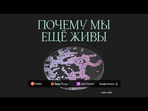 Видео: Распад личности: что мы знаем о шизофрении | Подкаст Почему мы ещё живы