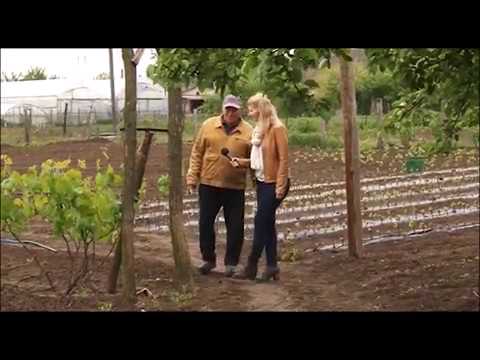 Видео: "Манівцями" Мачухи