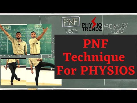 Видео: ВВЕДЕНИЕ В ТЕХНИКУ ПНФ | Физиотерапия | Physiotrendz | Часть 1