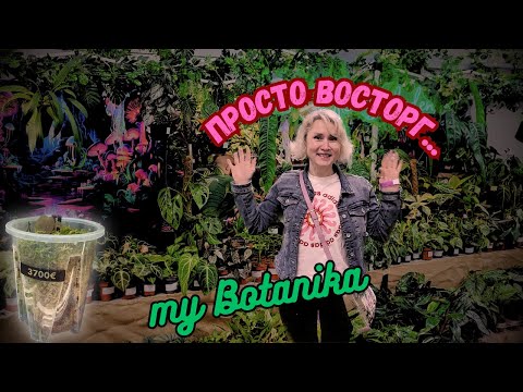 Видео: Большая выставка растений.. My🌱Botanika 2024. Hamm🇩🇪.. Эмоции зашкаливают..🤩🙃🪴🌱🌵🌺🌹