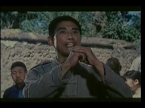 Видео: Боец Багуа Wu Lin Zhi