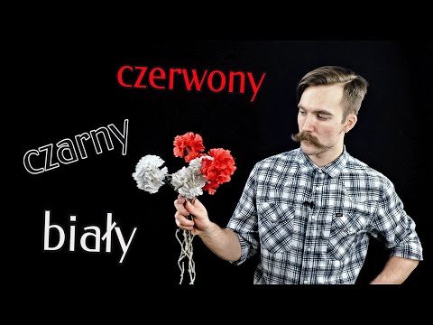Видео: Польский язык. Урок 13. Цвета, дискурсивы, повелительное накл., указательные и отрицательные мест.