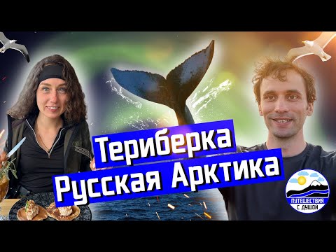 Видео: Териберка - Русская Арктика I там на краю земли I Travel with soul 2023