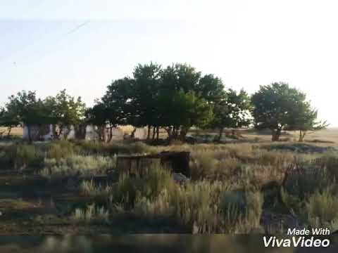 Видео: Карагандинская область нуринский район село куланотпес туган жерым