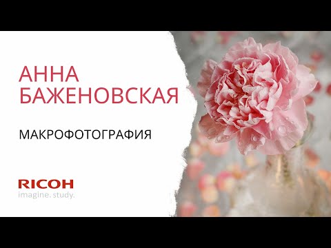 Видео: Макрофотография