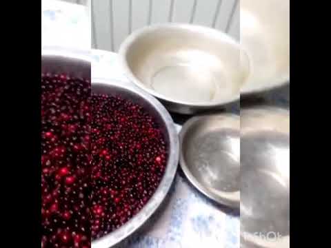 Видео: Сырое варенье из ирги