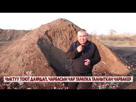 Видео: ЧЫКТУУ ТОЮТ ДАЯРДАП, ЧАРБАСЫН ЧАР ТАРАПКА ТААНЫТКАН ЧАРБАКЕР