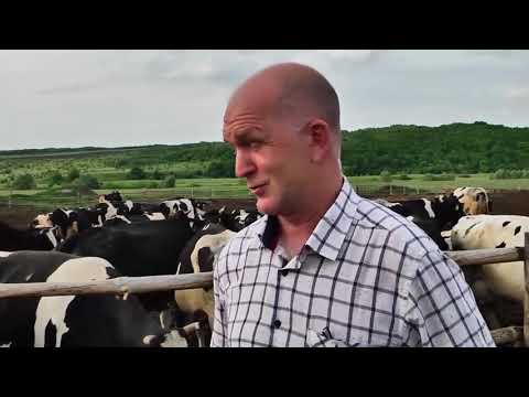 Видео: СПК "Березники" (полная версия)