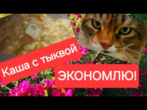 Видео: Латвия.Когда экономишь,что только не выдумаешь!