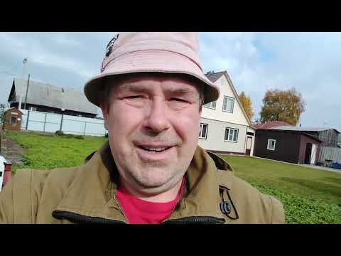 Видео: Горчички? Ага... Запахиваю сидераты 2024