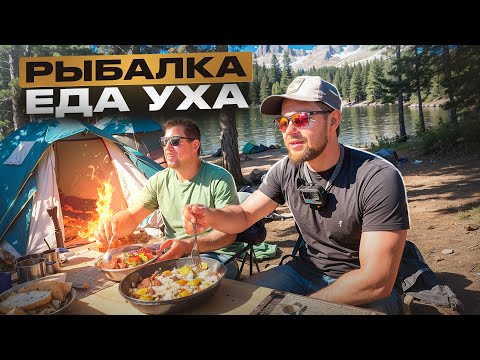 Видео: Рыбалка с Ночёвкой, наловили на уху, живём в палатках на берегу красивого озера. Лещ, Плотва, Окунь