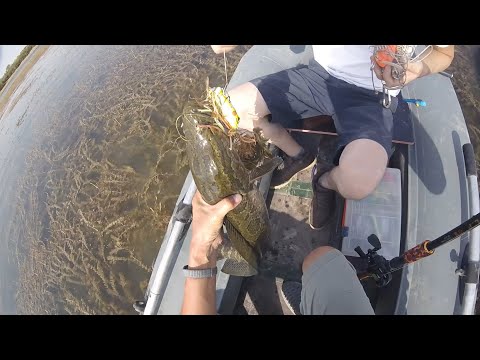 Видео: озера близ Шардары. Августовская ловля змееголова.