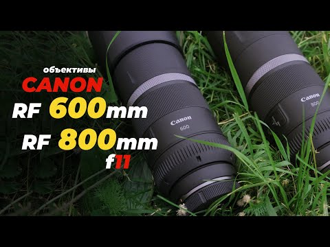 Видео: Тестируем Canon RF 600mm f/11 и Canon RF 800mm f/11.