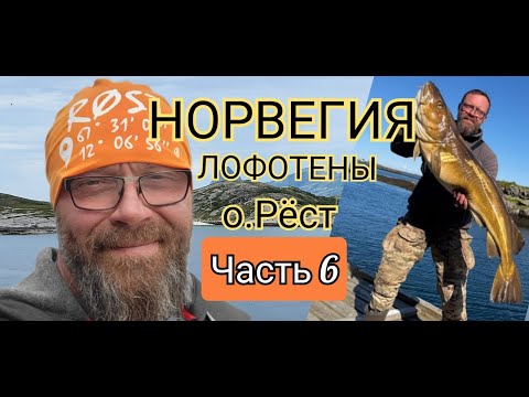 Видео: Рыбалка в Норвегии. Лофотены. о.Рёст. Серия 6