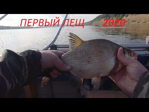 Видео: Наконец-то.  Первый лещ 2020г.  Рыбалка с лодки.