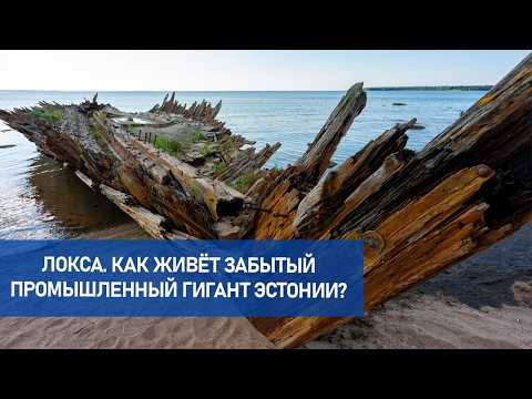 Видео: Локса сегодня. Как живёт забытый промышленный гигант Эстонии?
