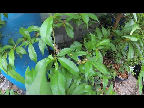 Видео: Готовимся к майским выходным