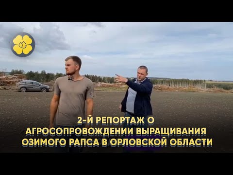 Видео: 2-й репортаж о агросопровождении выращивания озимого рапса в Орловской области