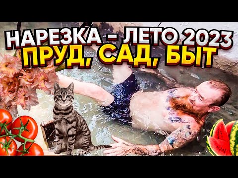 Видео: ДВОР, САД-ОГОРОД, БЫТ И ЖИЗНЬ В США 🗽ВЕСЕЛАЯ НАРЕЗКА