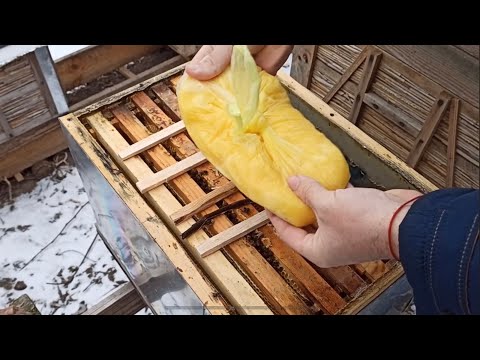 Видео: Зимнее Кормление Пчел: Что Нужно Знать Пчеловоду?