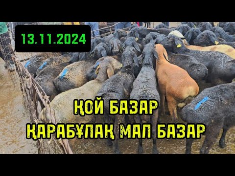 Видео: 13.11.2024 ҚОЙ БАЗАР / ҚАРАБҰЛАҚ МАЛ БАЗАР