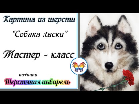 Видео: Собака картина шерстью🔷Рисуем шерстью 🔷 Картина из шерсти 🔷Мастер класс 🔷 Шерстяная акварель🔷Хаски