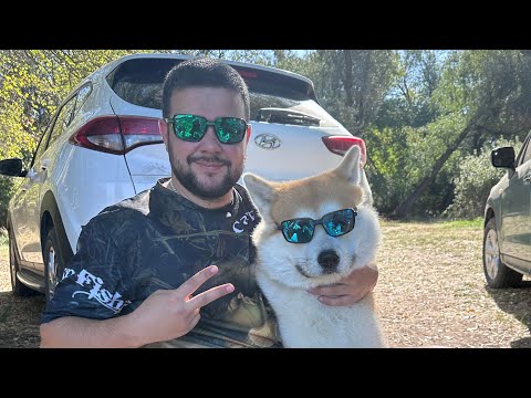 Видео: В погоне за БОЛЬШОЙ РЫБОЙ!!!