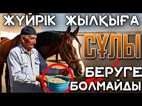 Видео: ЖҮЙРІККЕ СҰЛЫ БЕРСЕ ШАППАЙ ҚАЛАТЫНЫ РАС ПА❓👀 - Жылқы Жайлы