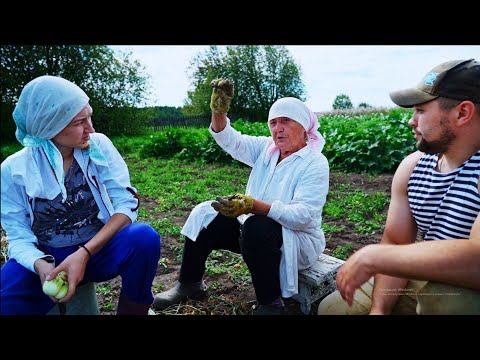 Видео: КУПИЛ 2 ДОМА В ДЕРЕВНЕ | БАБУШКА РАССКАЗЫВАЕТ ИСТОРИИ ИЗ ЖИЗНИ | ВЫРЕЗАЕМ ЛУК